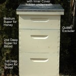 Parts Of A Beehive – A Beginner Beekeeper’s Guide