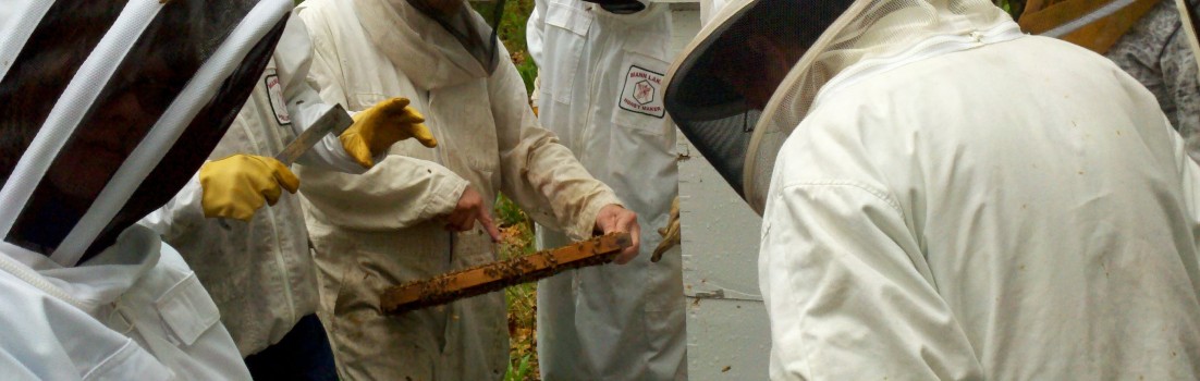 A hive opening at an Essex County Beekeepers meeting.  It was raining so few bees were flying around.