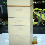 Two Queen Hive