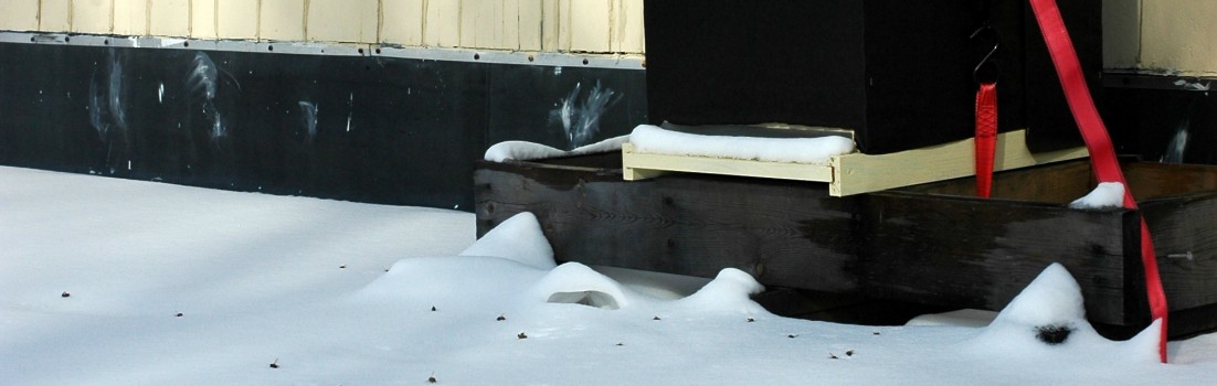 This is my rooftop hive prepared for winter.  I have moved it against the house to provide a wind break from the winter winds.  It is wrapped in tar paper, has a candyboard installed and is strapped down with a cargo strap since it is up on the roof where it can get very windy.