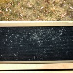 Wax Moth webs and frass on a frame with plastic foundation.
