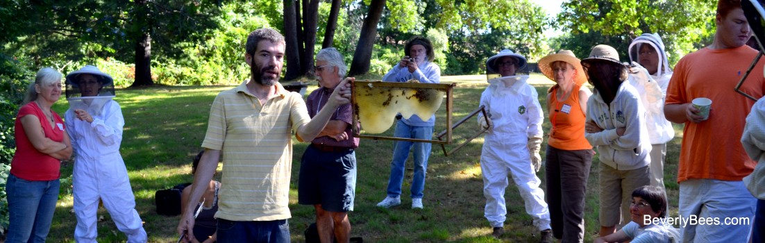 Dean showing one of his foundationless frames at the treatment free beekeeping conference.