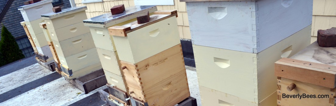 Some of my hives on the roof.
