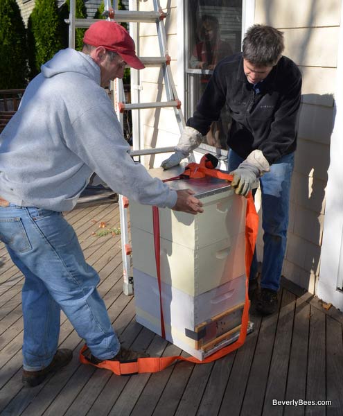 The hive is safely lowered onto the deck.
