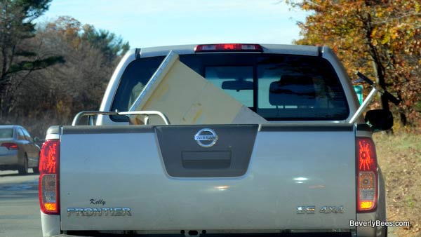 We had to pull over when the hive tipped over in the truck.