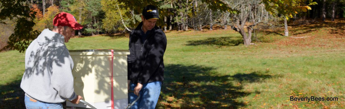 DSC_0Moving bees to a new location.057-001-1102x350L