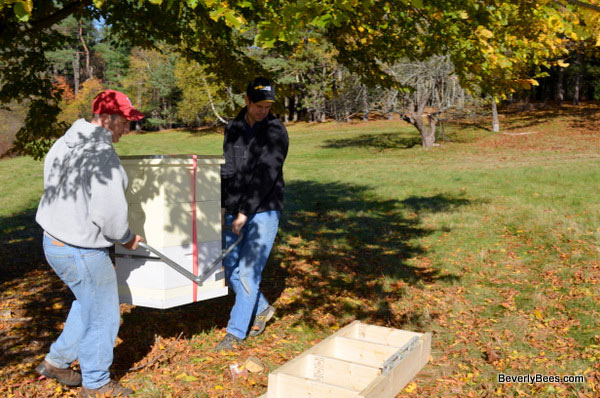 Joe and Brian moving the hive to it's new home.