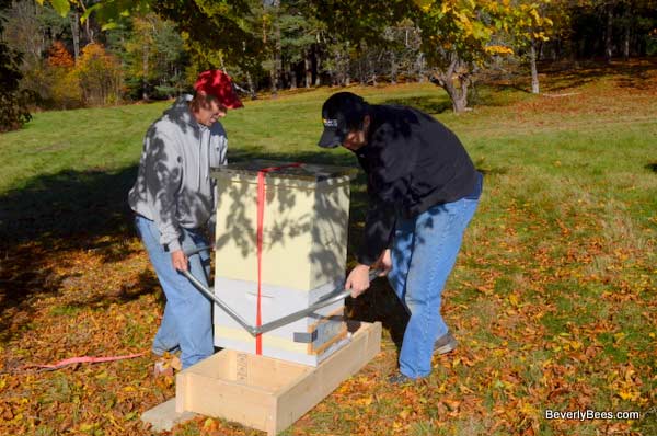 Joe and Brian placing the hive onto the hive stand in it's new home.