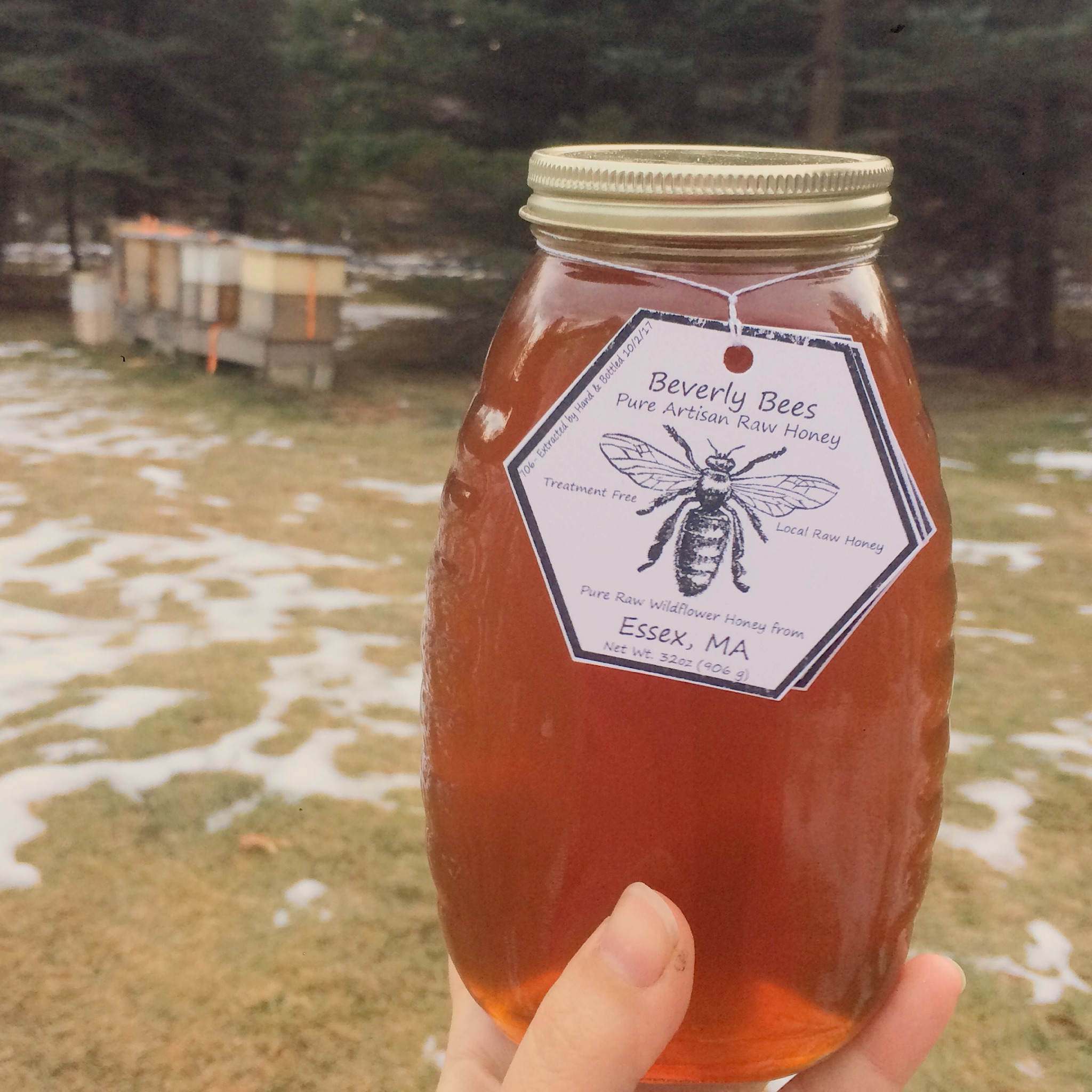 raw-honey-queenline-jars-beverly-bees