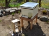 Dandelion Hive is now installed.