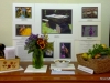 Planting A Bee Friendly Garden Educational Exhibit