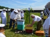 Ken Warchol\'s Hive Inspection Class