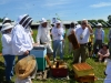 Ken Warchol\'s Hive Inspection Class