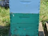 Another demonstration hive.