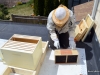 Taking the cover off the package of bees.