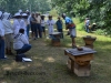 Sam Comfort doing a hive inspection.