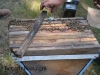 Sam uses bars to raise the cover up to give the hive more ventilation.