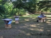 Some top bar hives at the tretament free conference.