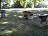 Top bar and Warre hives.