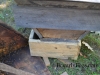 The rest of the bees are finding the entrance to their new hive.