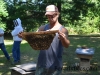 Inspecting a comb of bees.