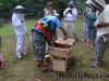 Inspecting a top bar hive.