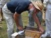 Kirk Webster helps Sam look for the queen to put into a package of bees.dsc_0160