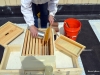 Using the bee brush to brush the bees off the syrup and into the hive.