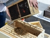 Shaking the bees into the box.
