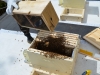 Almost all the bees are in the hive now.