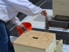 Brushing the last few bees away so they don't get smushed.