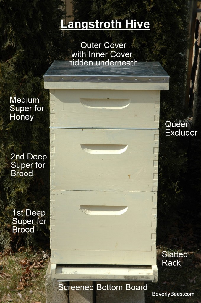 Parts of a Beehive - Beginner Beekeeper's Guide 