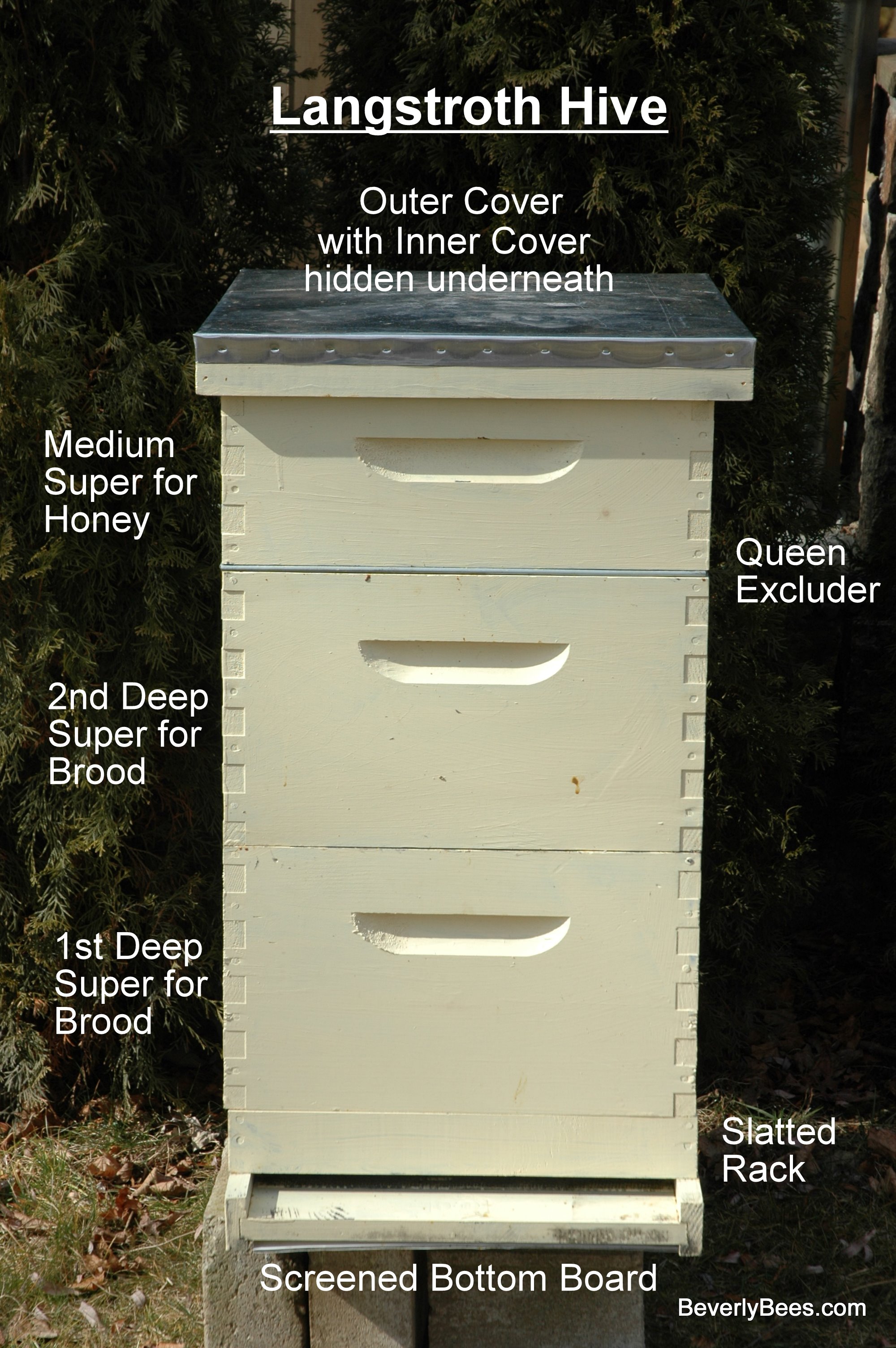 Telescoping Top 10 Frame Hive Langstroth Beehive Free Shipping