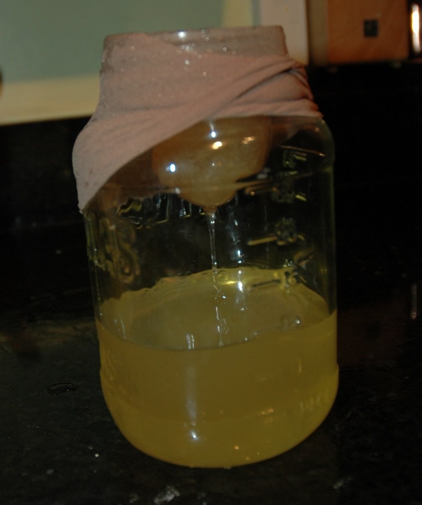 Processing Beeswax From Beverly Bees