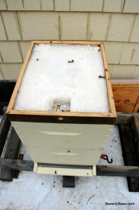 How to install the candy board for winter feeding.