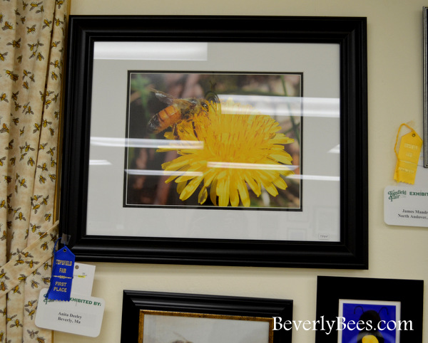 My color photo won First place in the Topsfield Fair Honey Show.