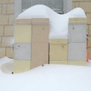 Nucs covered in snow from Nemo