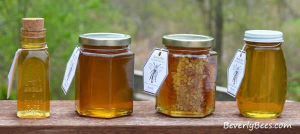 Honey for Sale from Beverly Bees