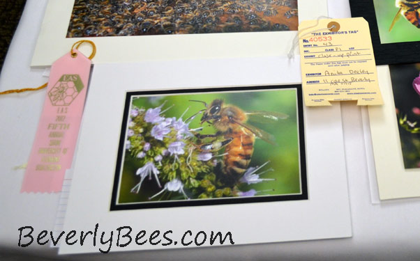 My close up print won 5th place at the 2012 EAS honey show.