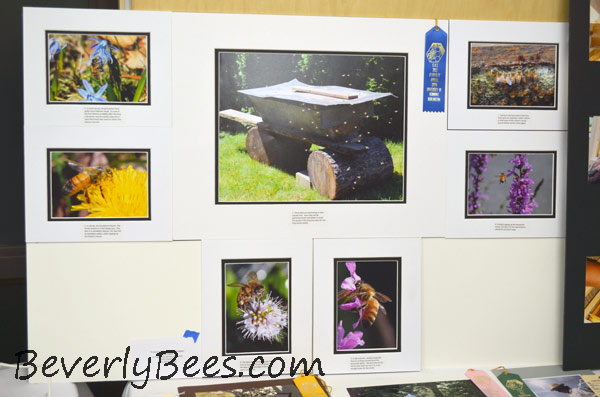 My photo essay won first place at the 2012 EAS honey show.