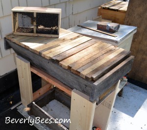 A 3lb bee package waiting to be installed in a top bar hive.