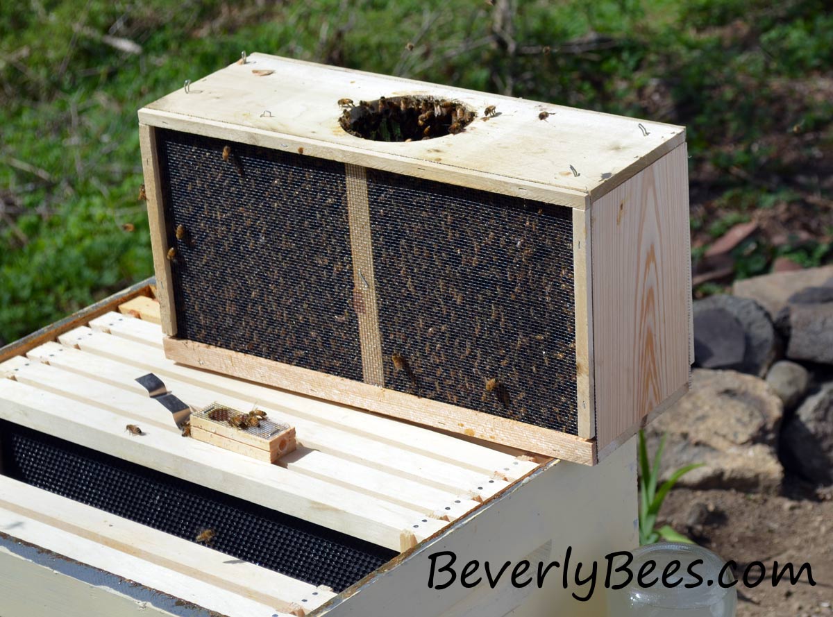 New10xBeekeeping Honey Entrance Feeder Hive Tool Beekeeper Bee Keeping Equipment 