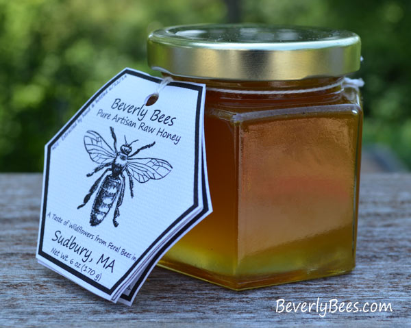 sudbury honey
