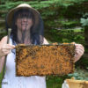 Anita Deeley of Beverly Bees