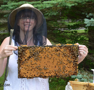 Anita Deeley of Beverly Bees