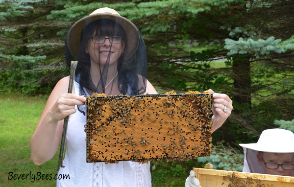 Anita Deeley of Beverly Bees