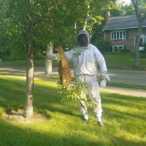 Bee Swarm Rescue