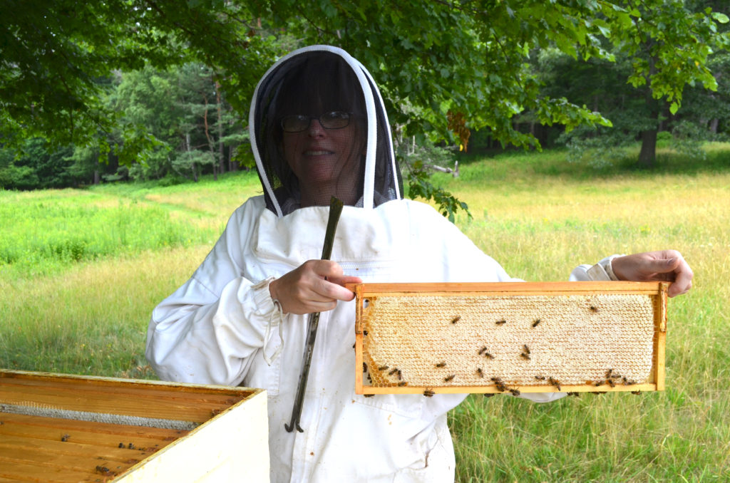 Honey Bee Beeswax Candles/decorative Candles/bee Hive Candles/bee  Candles/honeycomb Candles/handmade/candle Gifts/made With 100% Beeswax. 