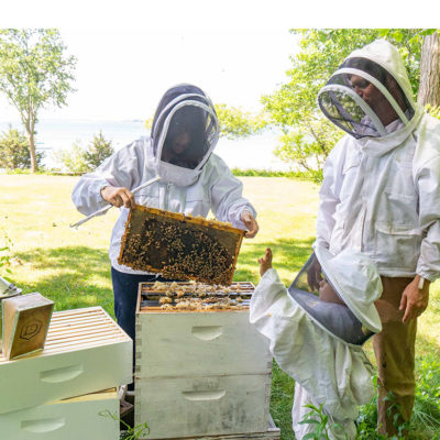 Pure Beeswax Candles Handmade in Beverly – Beverly Bees