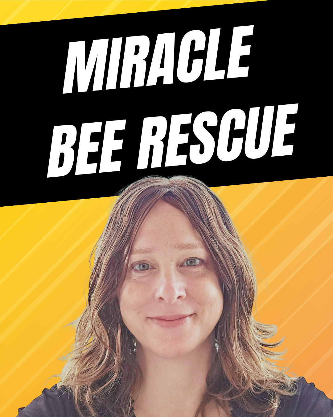 How Absconded Bees Moved Into Our Hive on Their Own | Bee Swarm ...